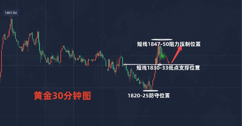 2019年辉煌业绩大盘点，盈利新篇章开启