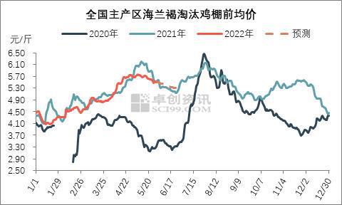 今日最新发布：淘汰蛋鸡市场报价行情揭晓