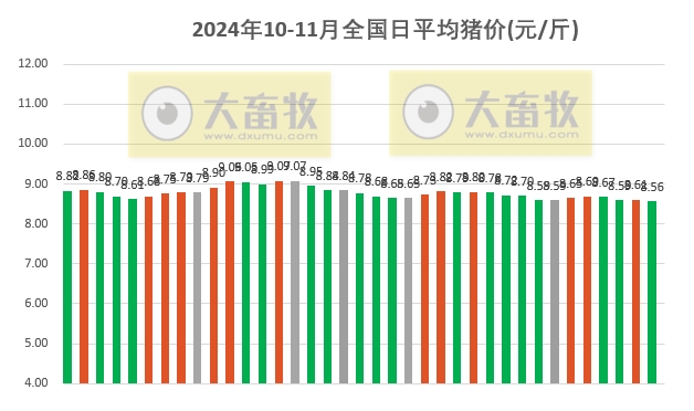 2025年春季猪市行情动态预测：最新猪价走势全面解析